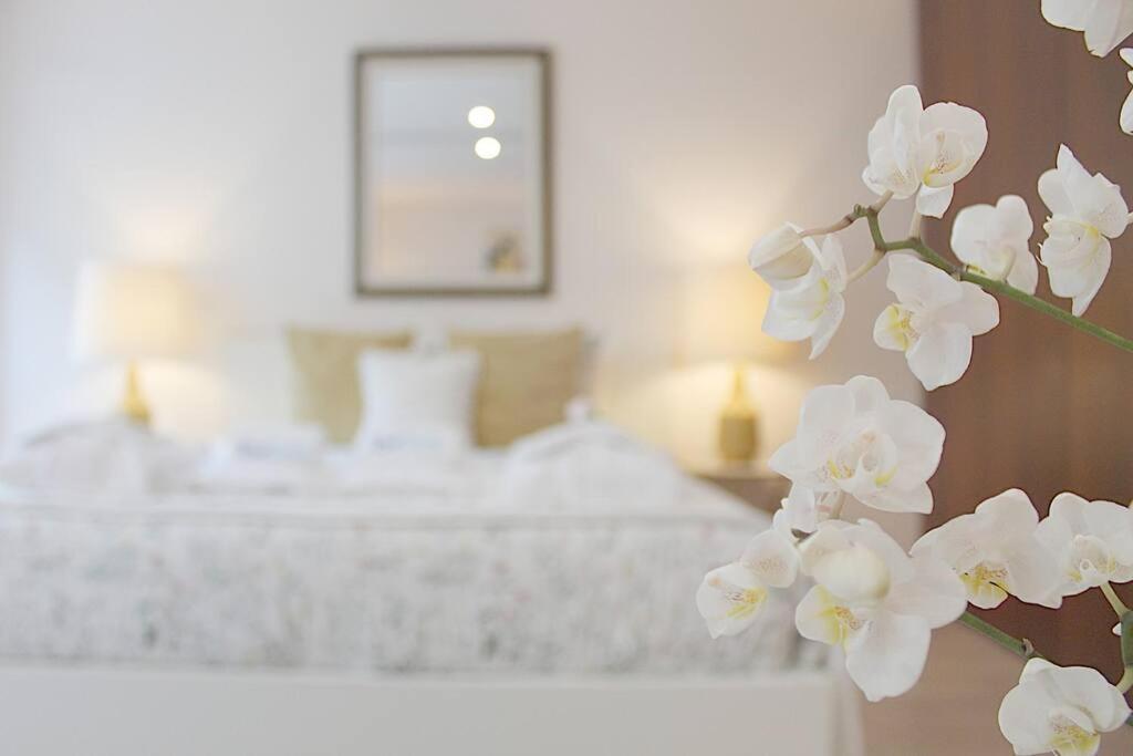 Oliveiras Charming Apartment Downtown Porto Zewnętrze zdjęcie